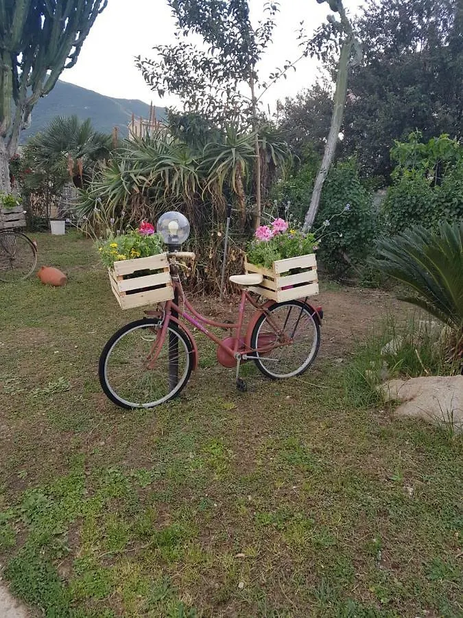 Bed and Breakfast Su Cunventu Muravera